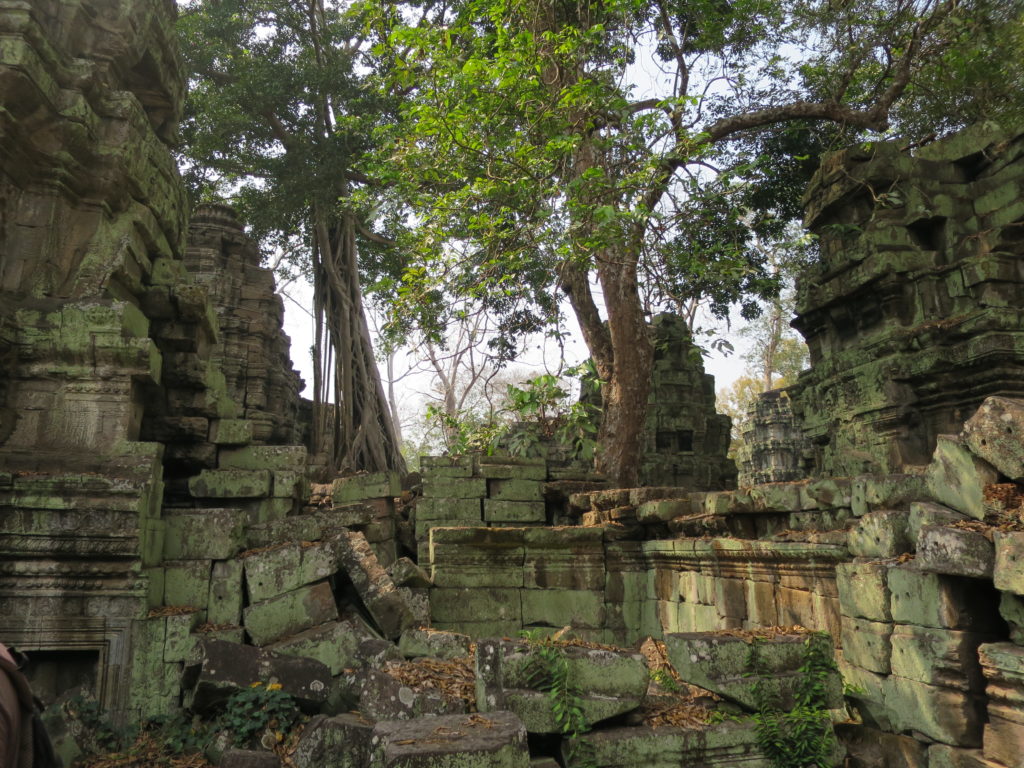 Ta Prohm in Angkor