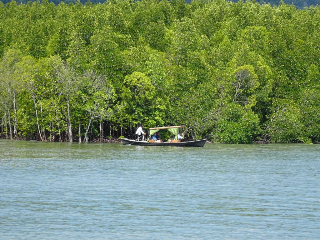 Mangrovenwaelder bei Koh Lanta