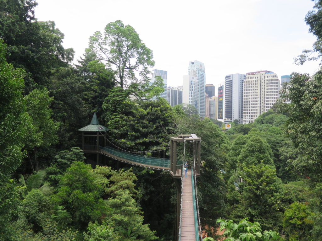 Canopy Walk im KL Forest Eco-Park