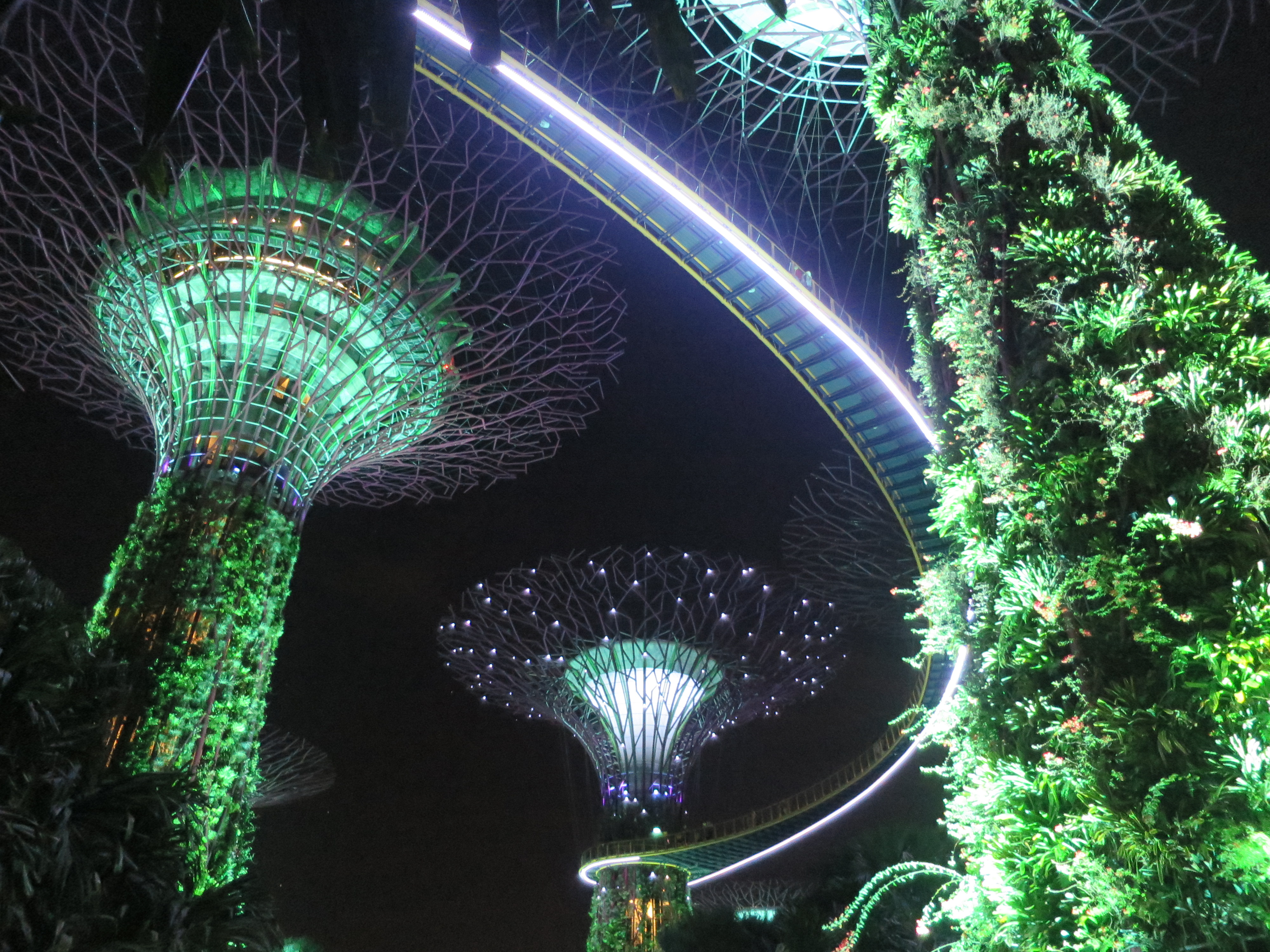 Super Tree Grove in Singapur