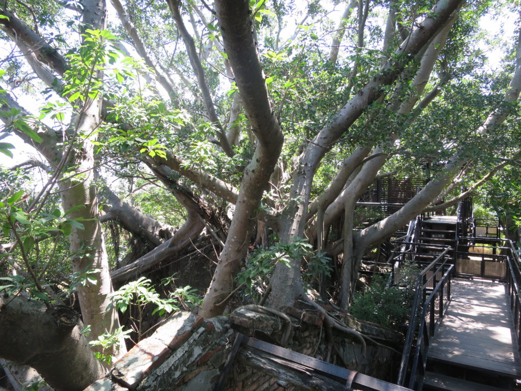 Anping Tree House in Tainan