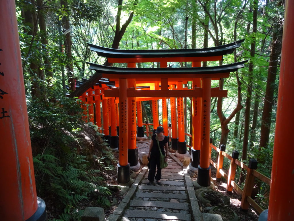 Die roten Torii von Fushimi Inari-Taisha