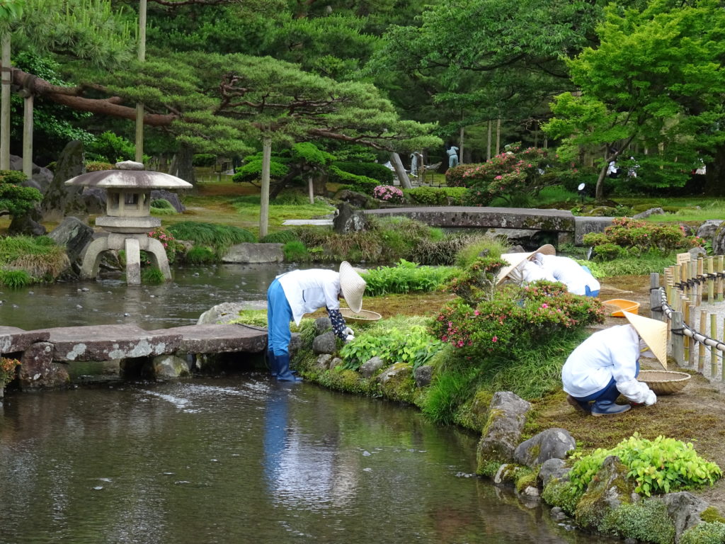 Gartenarbeit im Kenrokuen Park